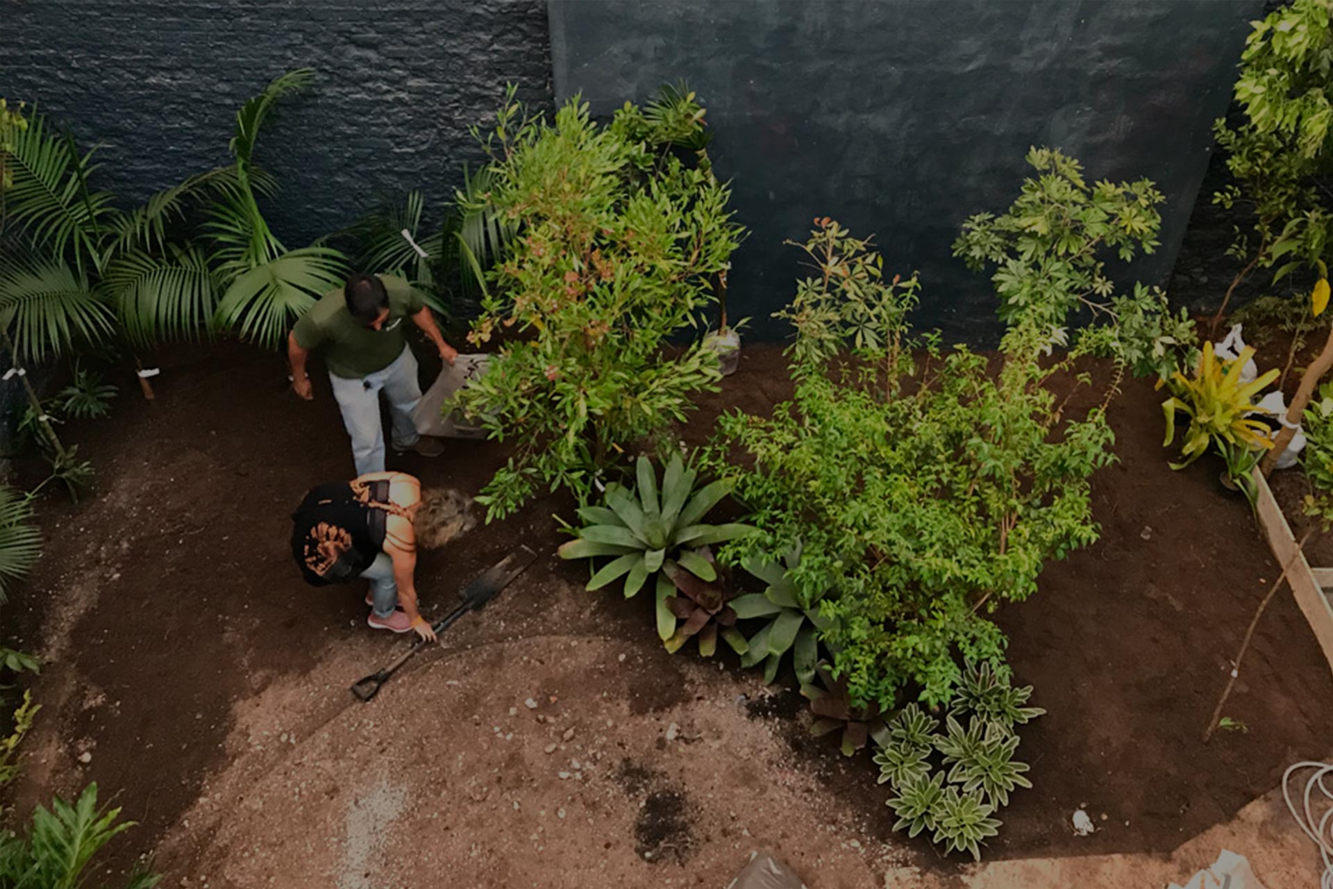 ImPlantação Paisagismo